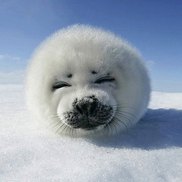 Женя Шипунова