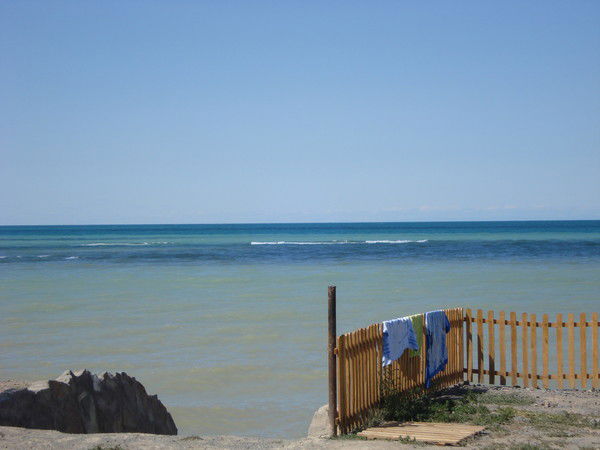 Инна Чапайкина