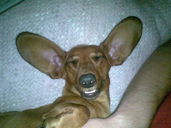 Сергей Красиленко