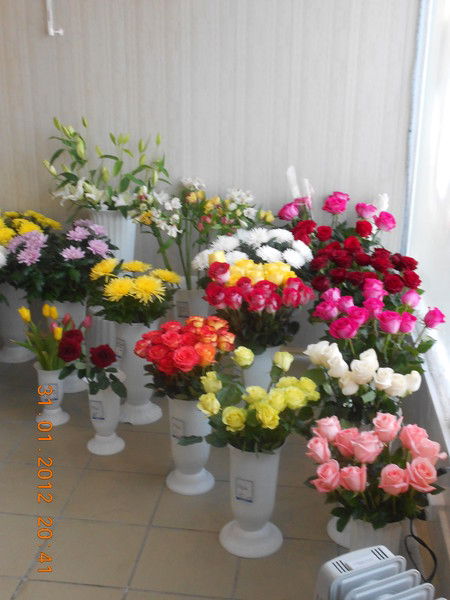 Марина Марина