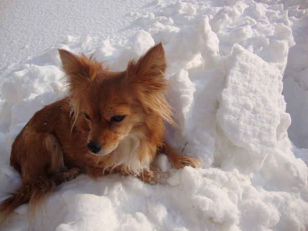 Наташа Попова