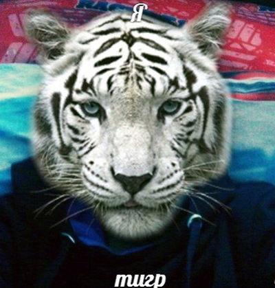 Никита Чебыкин