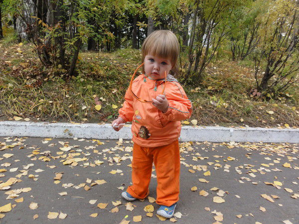 Наталья Степаненко