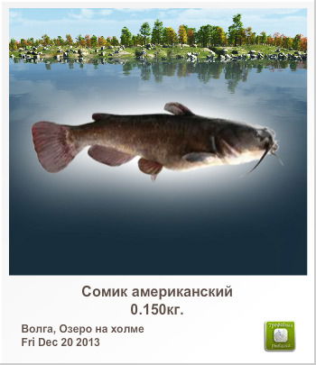 Сергей Киселев