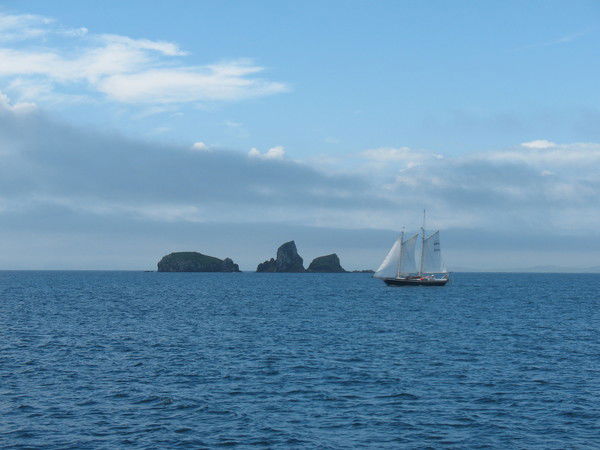 Дмитрий Медведев