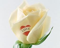 Айнур@ Айнур@