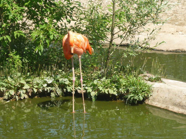 Ольга Тимошенко