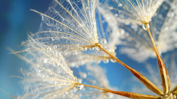 Кристина Давыдова