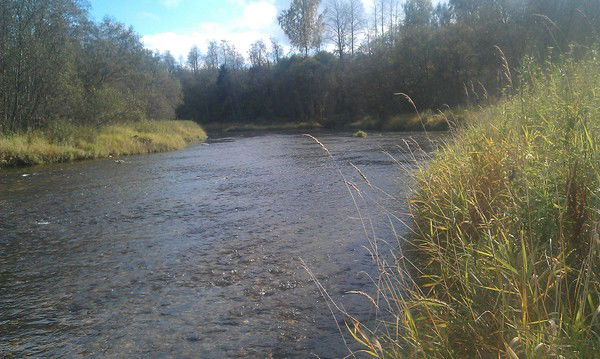 Алексей Баглай