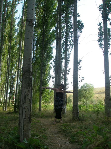 Жибек Маман