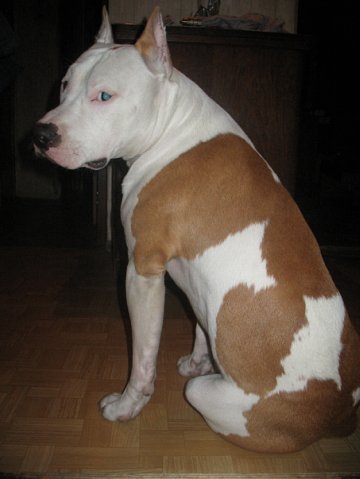 Коля Дудышев