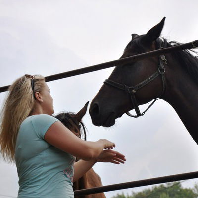 Елена Лавренова