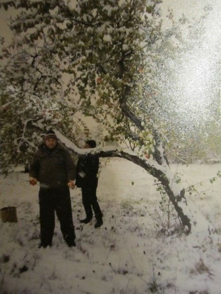 Александр Лебедев