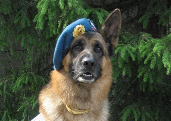 Багдаулет Келденбай