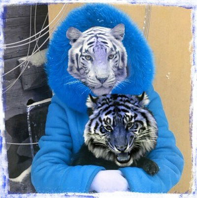 Татьяна Круць