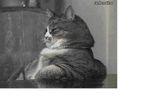 Евгений Евгений