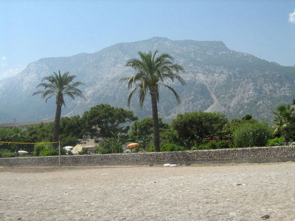 Алена Острецова