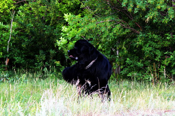 Танюфка .....