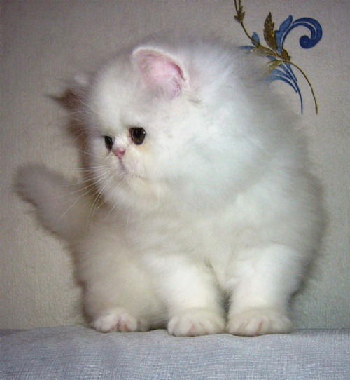 Людмила Русских