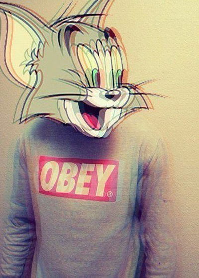 Даниил Сорокин