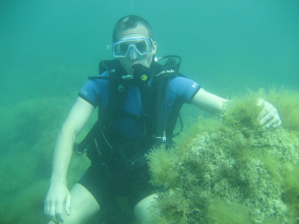 Александр Рогоза