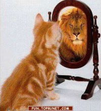 Сергей Василенко