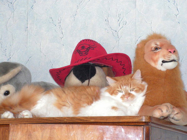 Михаил Малахов