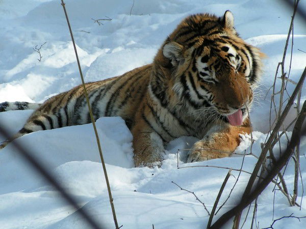 Дмитрий Гайдабура