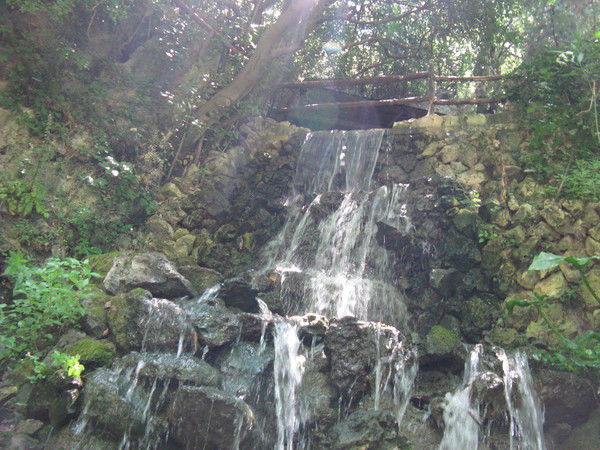 Виктория Чеботарева