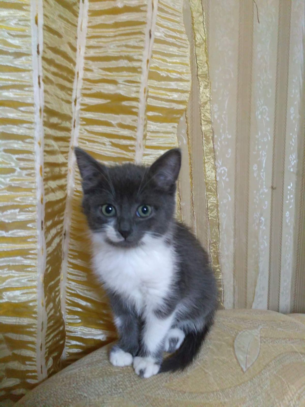 Сергей Тихомиров