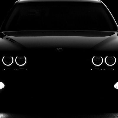 Вова Покорных