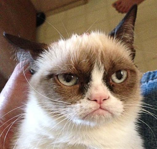 Сергей Ставицкий