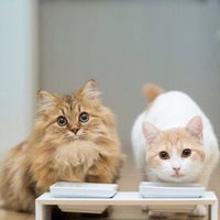 Валерия Явкина