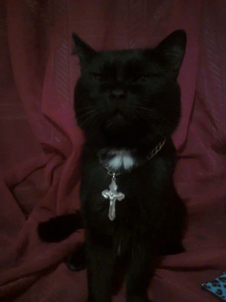 Аrtem. Иванюк