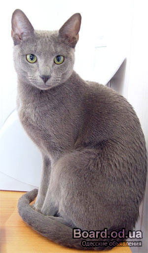 Оля Казимирёнок