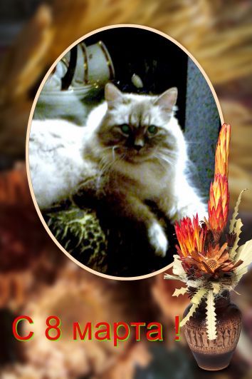 Валентина Бел