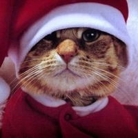 Алексей Кузнецов