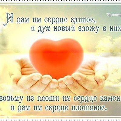 Дима Бехтольд