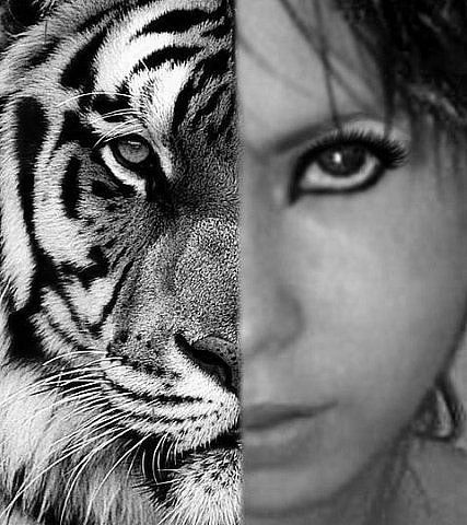 Неизвестно Неизвестно