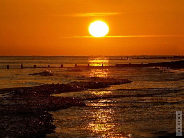 Ирина Виноградова