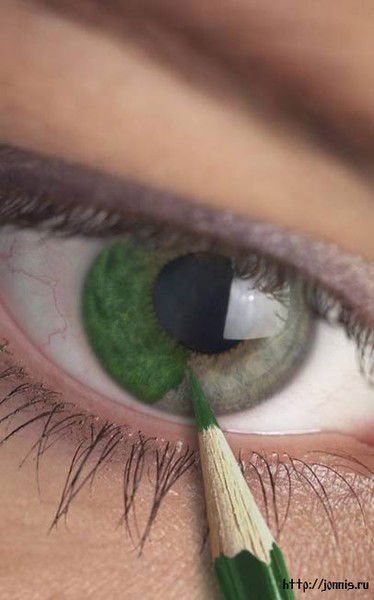 Катя Никифорова