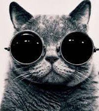 Егор Калмыков