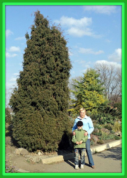 Елена Нестерюк