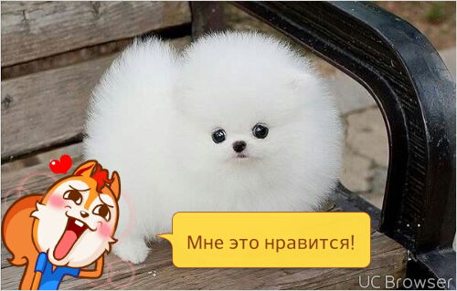 Ольга Гришина