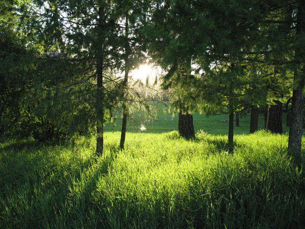 Эркин Бекмуратов