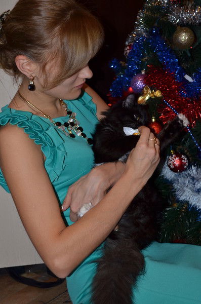 Александр Кирдан