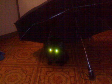 Сергей Александрович