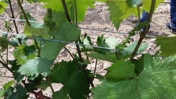 Ос-Алко Сервис Ос-Алко Сервис