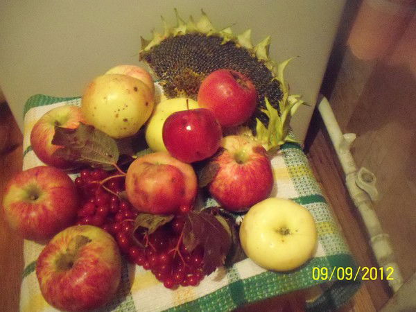 Венера Кудрявцева