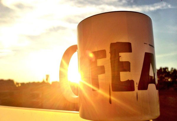 Алла Турнецкая